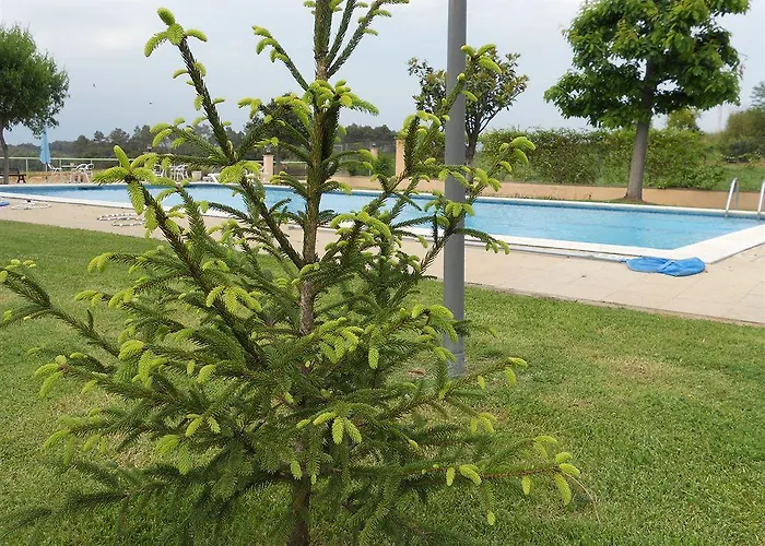 Sausa